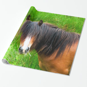 PAPEL DE REGALO CABALLOS