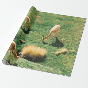 PAPEL DE REGALO CABALLOS BLANCOS Y MARRONES SOBRE CAMPO VERDE
