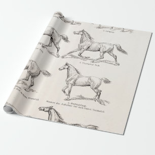 Papel De Regalo Caballos del ilustracion de los pasos del caballo