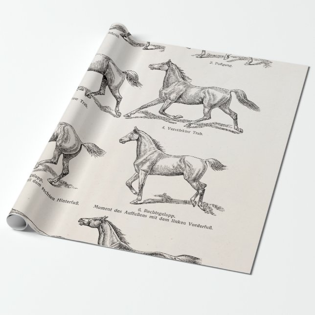 Papel De Regalo Caballos del ilustracion de los pasos del caballo (Desenrollado)