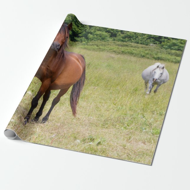 Papel De Regalo Caballos en un campo (Desenrollado)