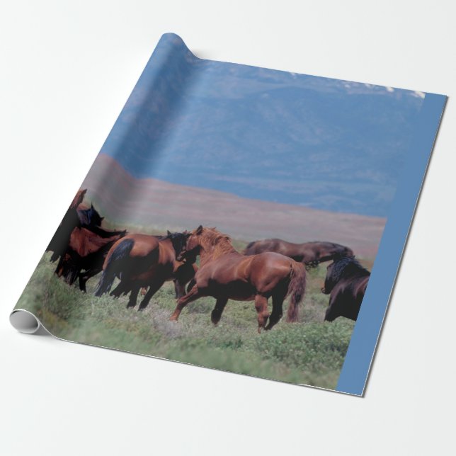 Papel De Regalo Caballos salvajes fuera del oeste (Desenrollado)