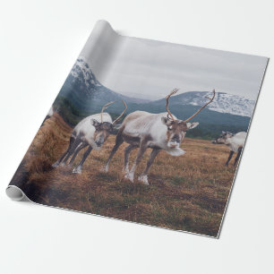 PAPEL DE REGALO CABEZA DE ANIMALES MARRONES Y NEGROS SOBRE LA FIEB
