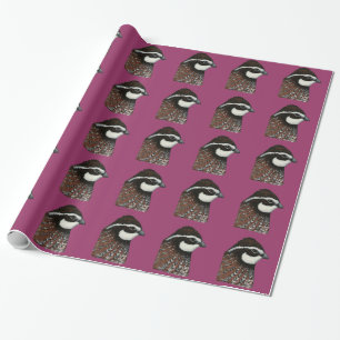 Papel De Regalo Cabeza de codorniz Bobwhite