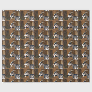 Papel De Regalo cabra de manchas de Tauern