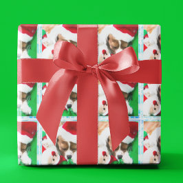 Papel De Regalo Cachorro Cavalier King Charles durmiendo en Navida