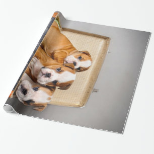 Papel De Regalo Cachorros de Bulldog espléndidos   Perro Lover