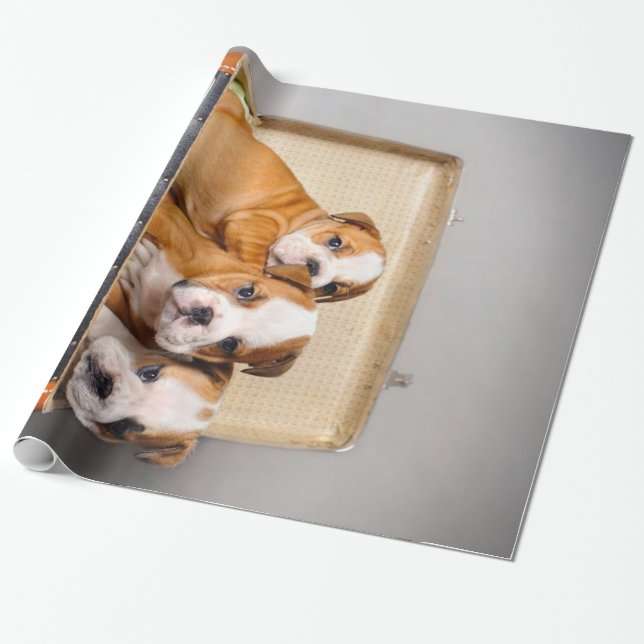 Papel De Regalo Cachorros de Bulldog espléndidos | Perro Lover (Desenrollado)