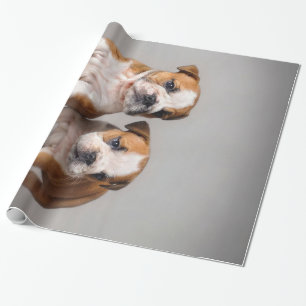 Papel De Regalo Cachorros de Bulldog ingleses   Bulldog de par en 
