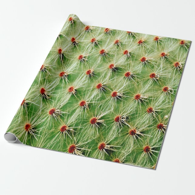 Papel De Regalo Cactus (Desenrollado)
