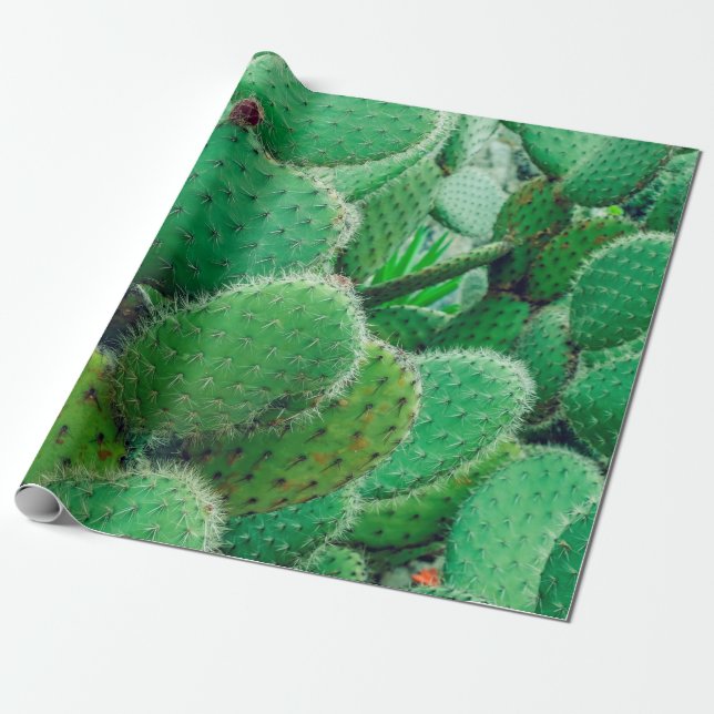 Papel De Regalo Cactus, cactus de pera espinosa, espinas de cactus (Desenrollado)