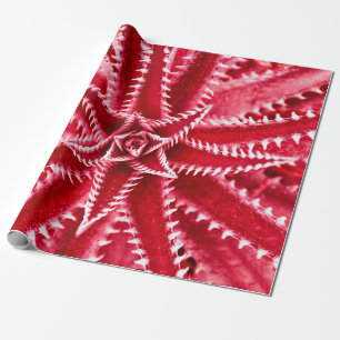Papel De Regalo cactus de espina, patrón natural, espalda roja abs