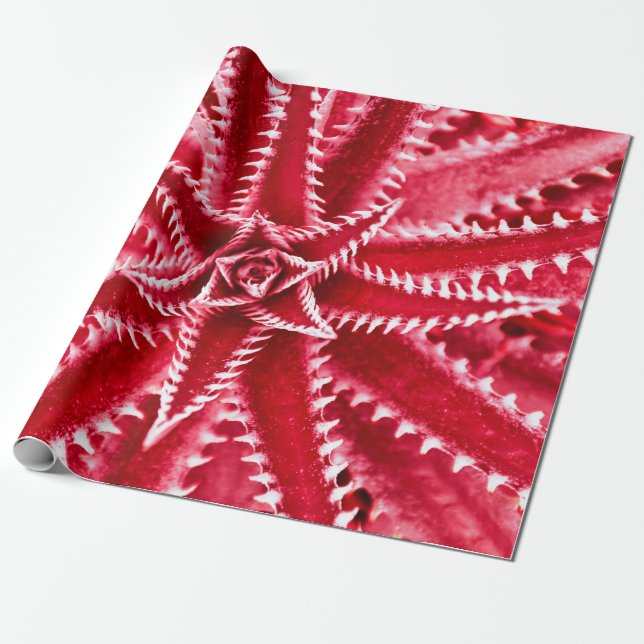 Papel De Regalo cactus de espina, patrón natural, espalda roja abs (Desenrollado)
