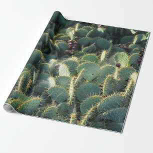 Papel De Regalo Cactus espinosos