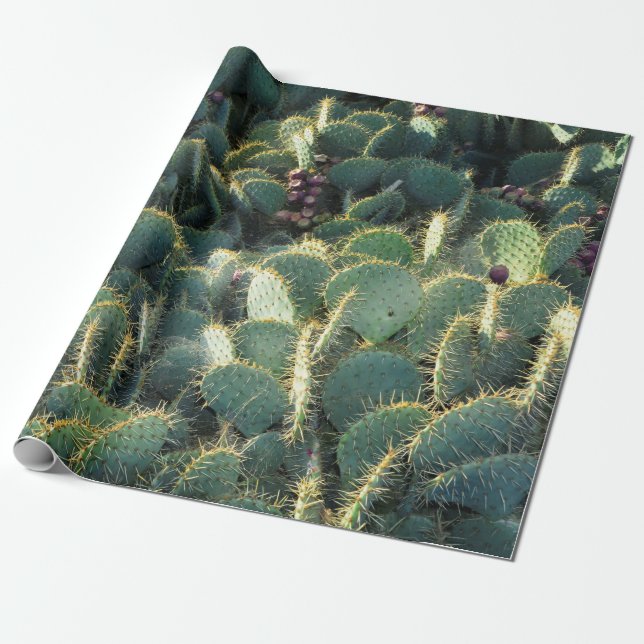 Papel De Regalo Cactus espinosos (Desenrollado)