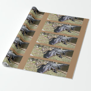 Papel De Regalo Caimán de los Everglades en hierba de marisma ilum
