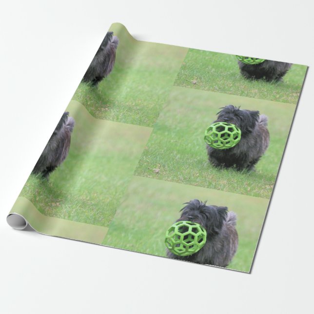 Papel De Regalo Cairn terrier (Desenrollado)