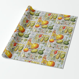 Papel De Regalo Calabazas Vintage Gourds Lámina de Libro Botánico