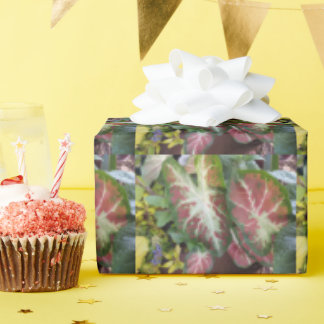 Papel De Regalo Caladium Garden Gardeners Delight Design