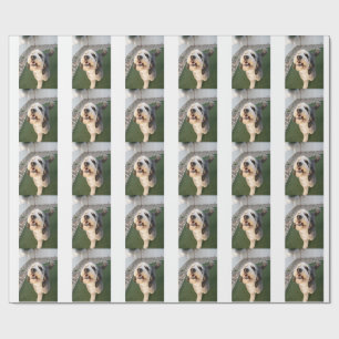 Papel De Regalo Calcetines de cachorro