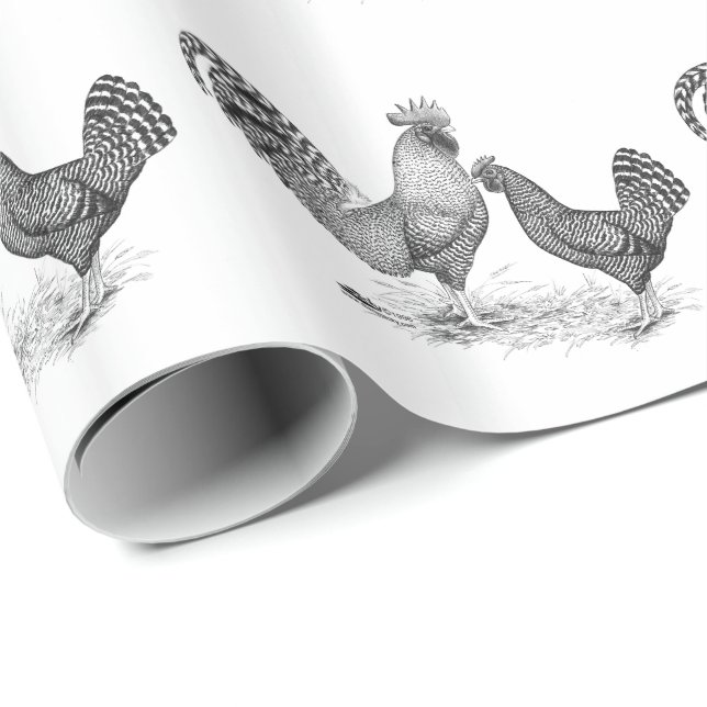 Papel De Regalo California Gray Rooster and Hen (Esquina del rollo)