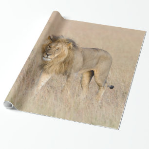 Papel De Regalo Caminata de leones