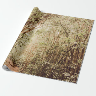 PAPEL DE REGALO CAMINO RODEADO DE ÁRBOLES ALTOS Y VERDES