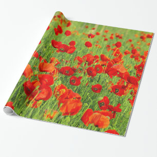 Papel De Regalo Campo de amapolas rojas salvajes