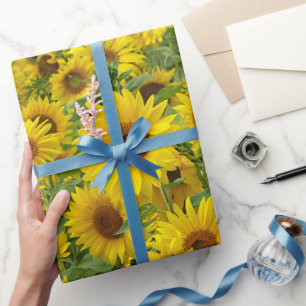 Papel De Regalo Campo de girasol amarillo