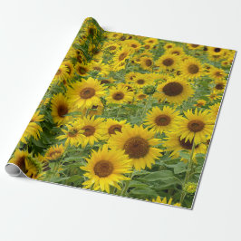 Papel De Regalo Campo de girasol amarillo