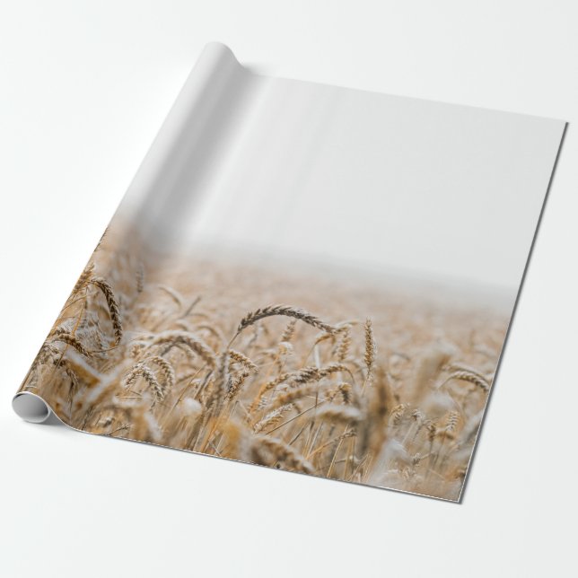 PAPEL DE REGALO CAMPO DE TRIGO MARRÓN DURANTE EL DÍA (Desenrollado)