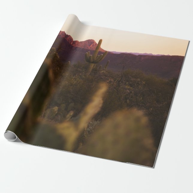 PAPEL DE REGALO CAMPO GRIS VERDE (Desenrollado)