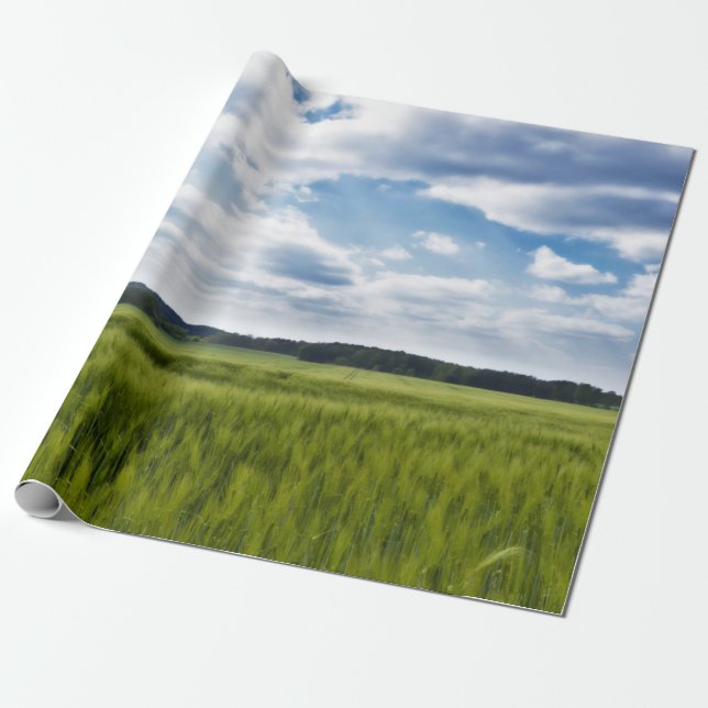 Papel De Regalo Campos verdes y cielo azul (Desenrollado)