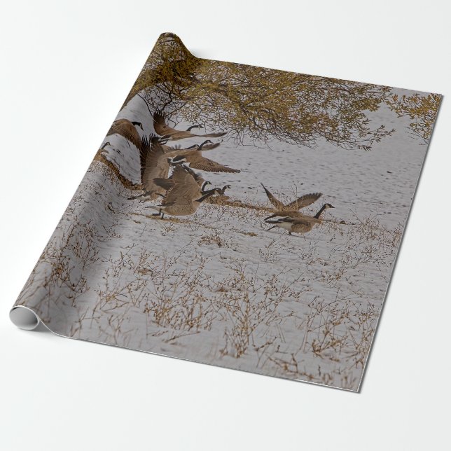 PAPEL DE REGALO CANADÁ GEESE (Desenrollado)