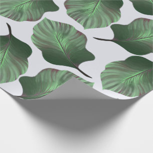 Papel De Regalo Canna Tropicanna Tropical Leaves, Verde
