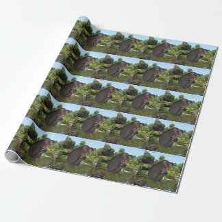 Papel De Regalo Cannonball Hippo