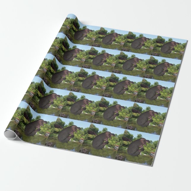 Papel De Regalo Cannonball Hippo (Desenrollado)