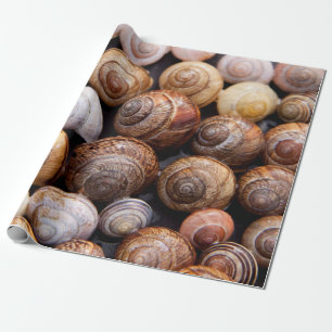 Papel De Regalo Cañones