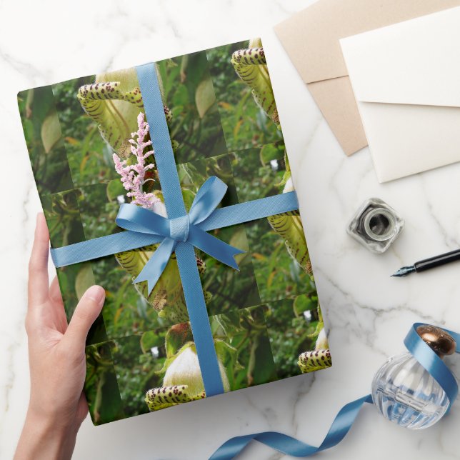 Papel De Regalo Capanea Grandiflora (Regalar)