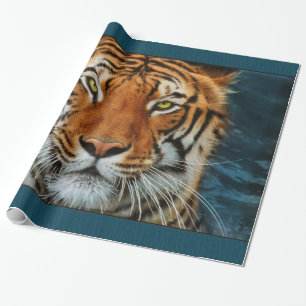 Papel De Regalo Cara del tigre