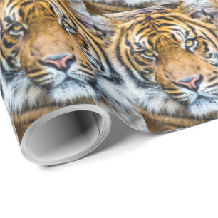 Papel De Regalo Cara del tigre