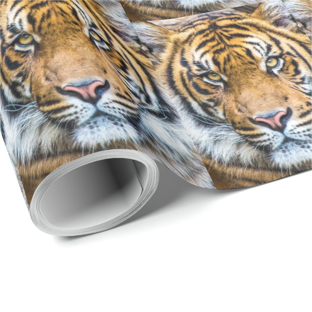 Papel De Regalo Cara del tigre (Esquina del rollo)