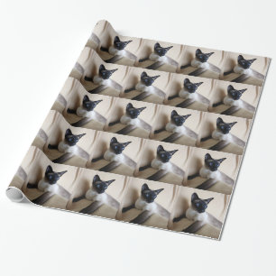 Papel De Regalo Cara magnífica del gato siamés