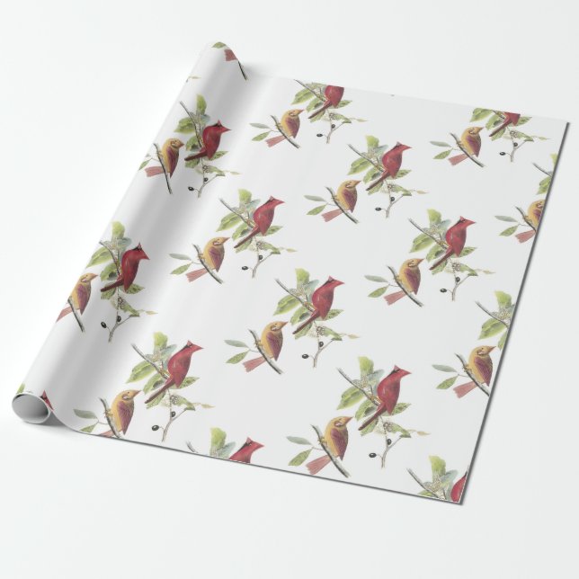 Papel De Regalo Cardenal del norte por Audubon (Desenrollado)
