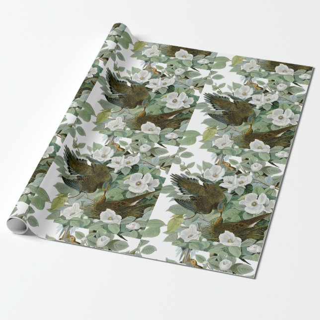 Papel De Regalo Carolina Pigeon Audubon Morning Dove (Desenrollado)