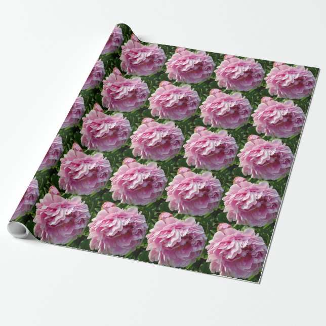 Papel De Regalo Casa de campo de campo con flores de Pink Peony (Desenrollado)