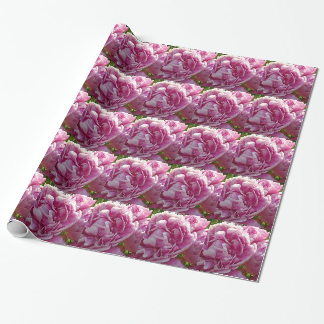 Papel De Regalo Casa de campo de campo con flores de Pink Peony (Desenrollado)