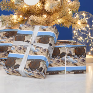 Papel De Regalo Casas de mar en la playa por Shirley Taylor