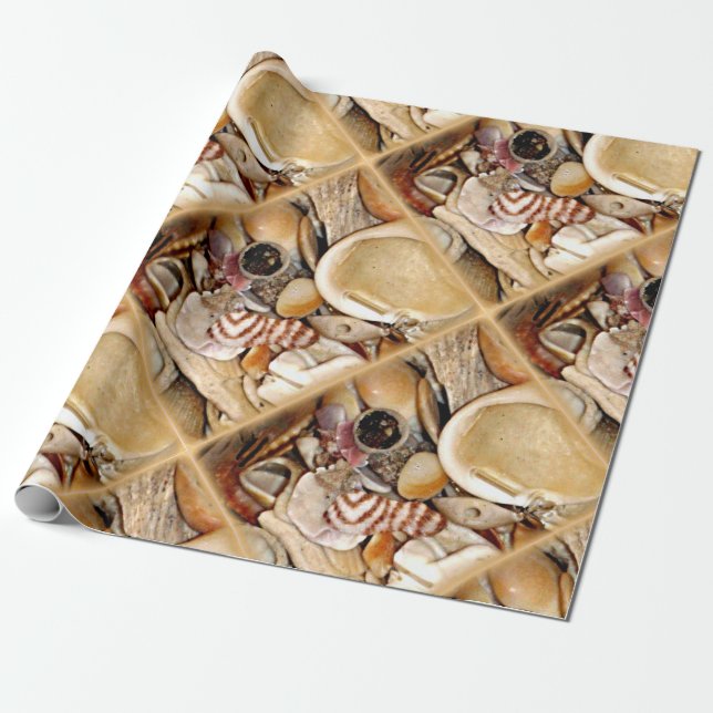 Papel De Regalo Cáscaras del mar de Océano Atlántico (Desenrollado)