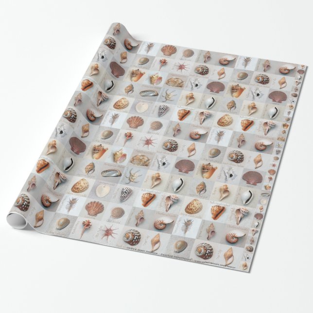 Papel De Regalo Cáscaras sofisticadas (Desenrollado)